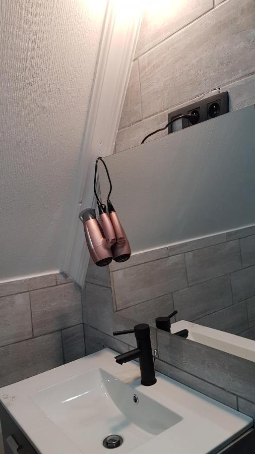 Le Petit Luxembourg Apartment Montignies-sur-Sambre Luaran gambar
