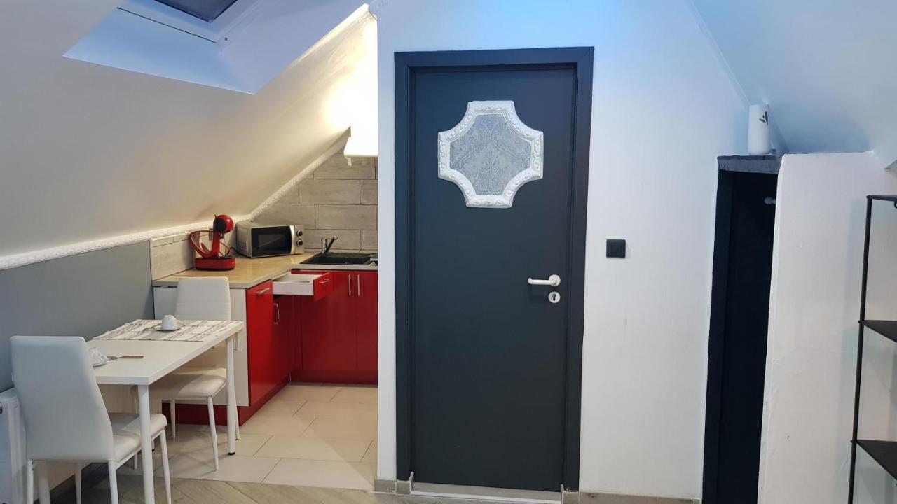 Le Petit Luxembourg Apartment Montignies-sur-Sambre Luaran gambar