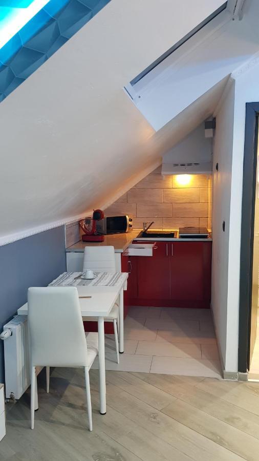 Le Petit Luxembourg Apartment Montignies-sur-Sambre Luaran gambar